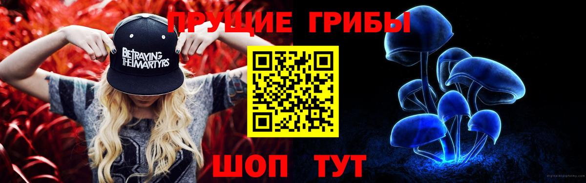 Псилоцибиновые грибы GOLDEN TEACHER  Вход с VPN  Архангельск  Галлюциногенные грибы мухоморы 