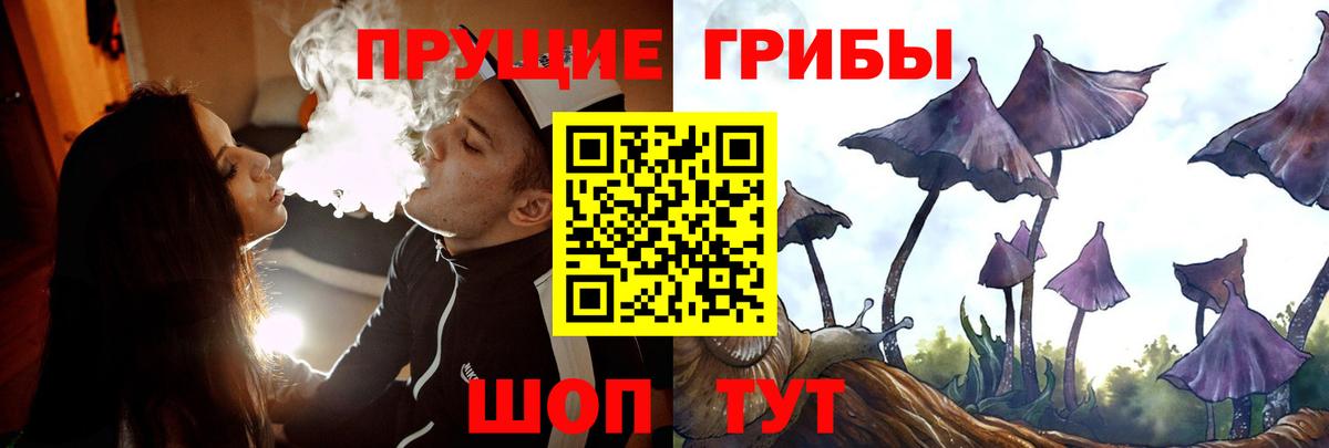 Галлюциногенные грибы Magic Shrooms Архангельск
